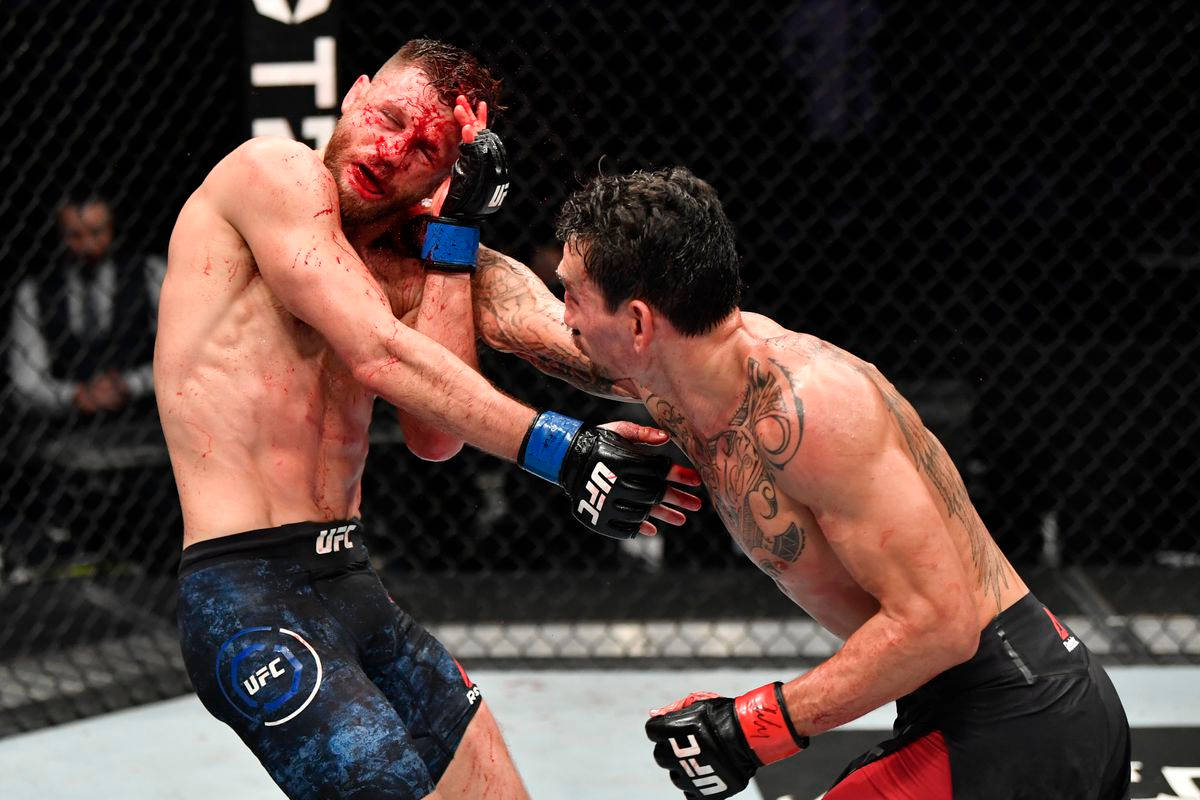 Max Holloway, MMA fighters, cage match, SD Desktop Wallpaper