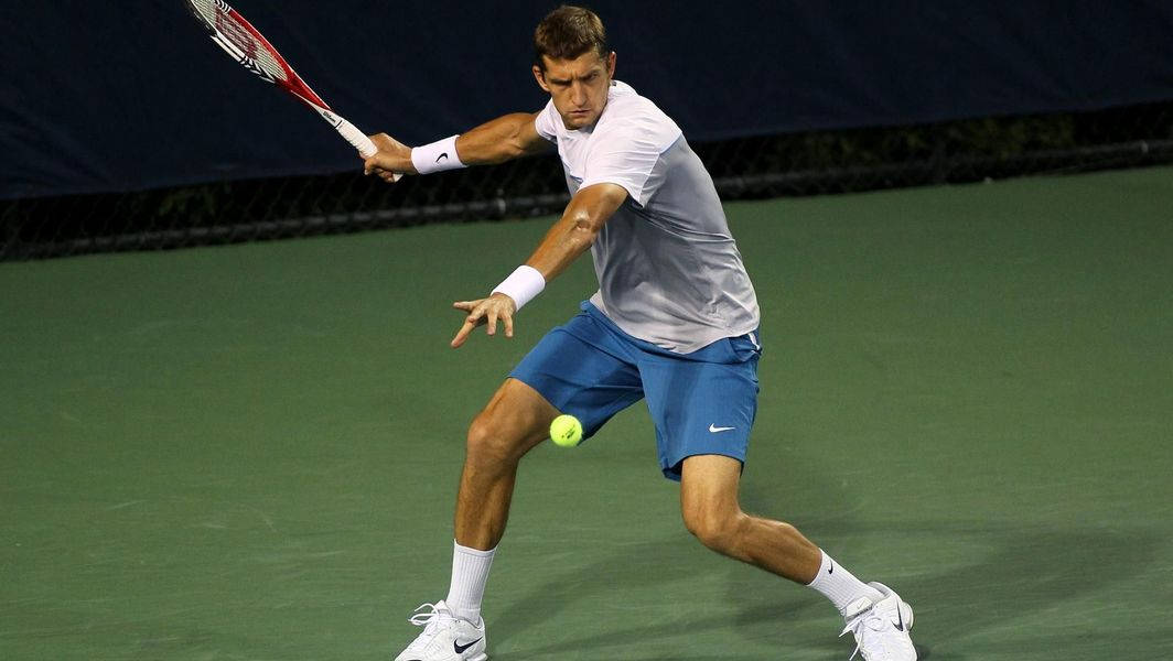 Max Mirnyi, tennis ball, green court, SD Desktop Wallpaper