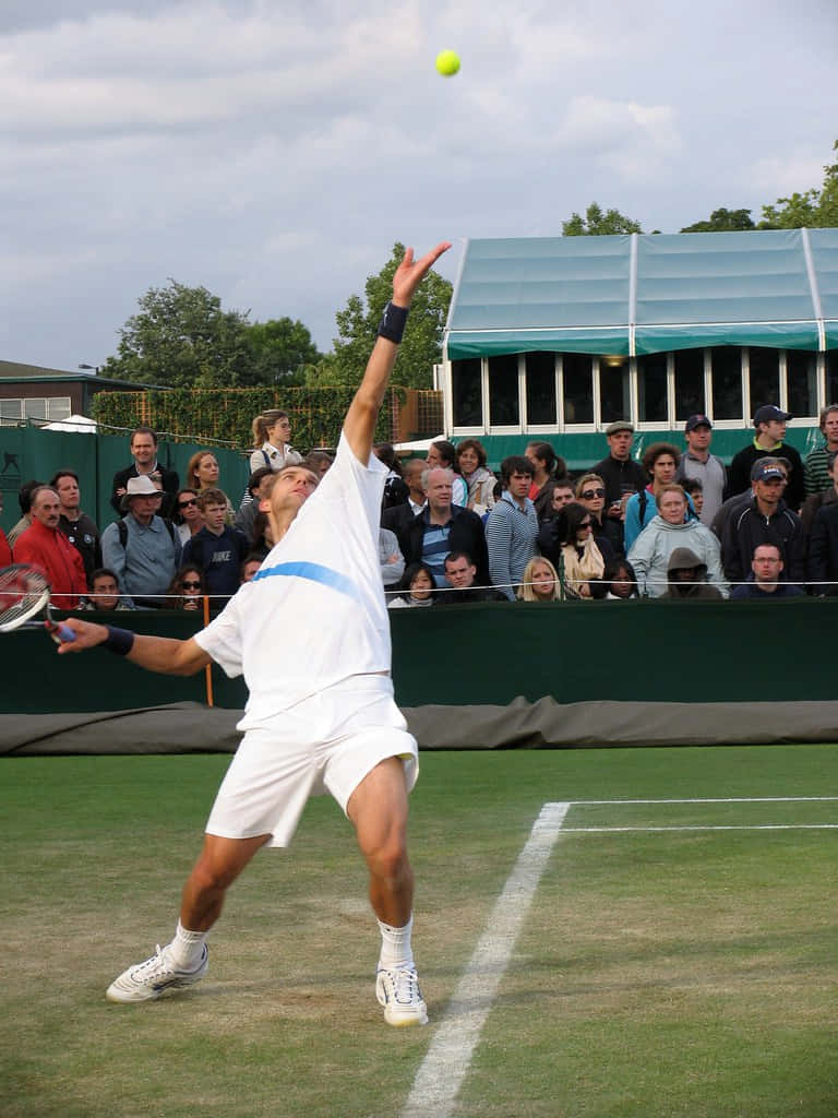 Max Mirnyi, high serve, white attire, SD Phone Wallpaper