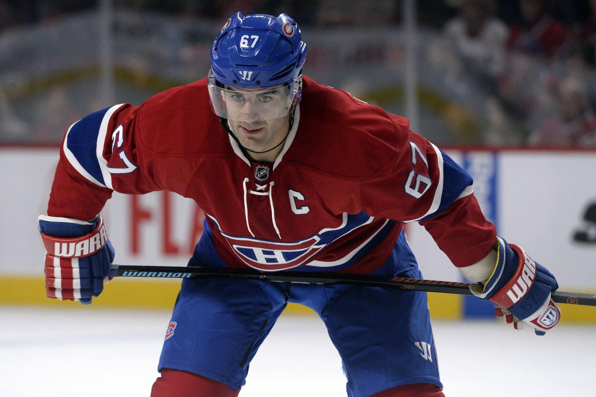 Max Pacioretty, red blue uniform, number 67, Full HD Desktop Wallpaper