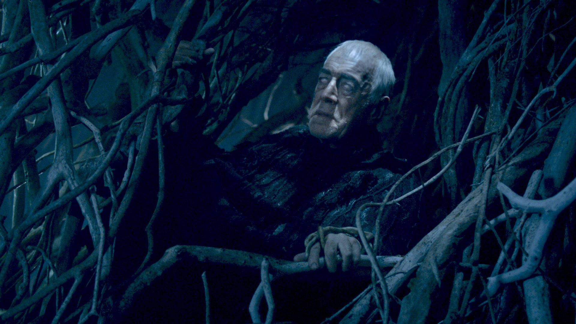 Max Von Sydow, tangled dark branches, chilling blue-lit forest, Full HD Desktop Wallpaper