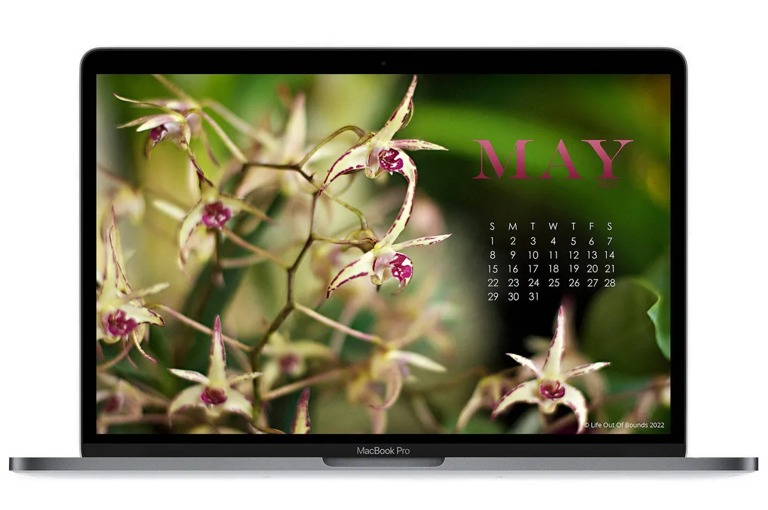 May 2022 Calendar