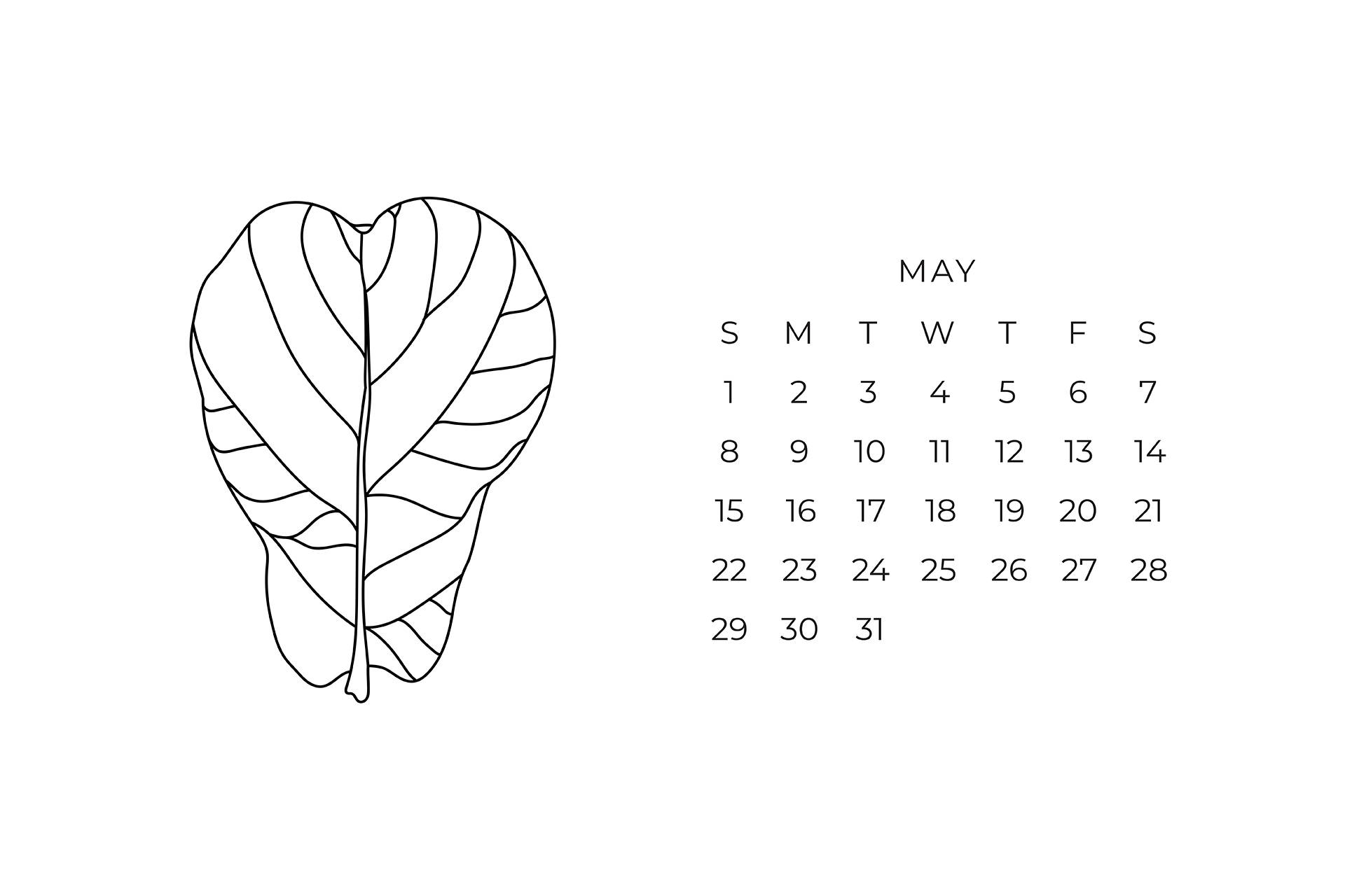 May calendar, heart-shaped leaf, black line drawing, Full HD Desktop Wallpaper