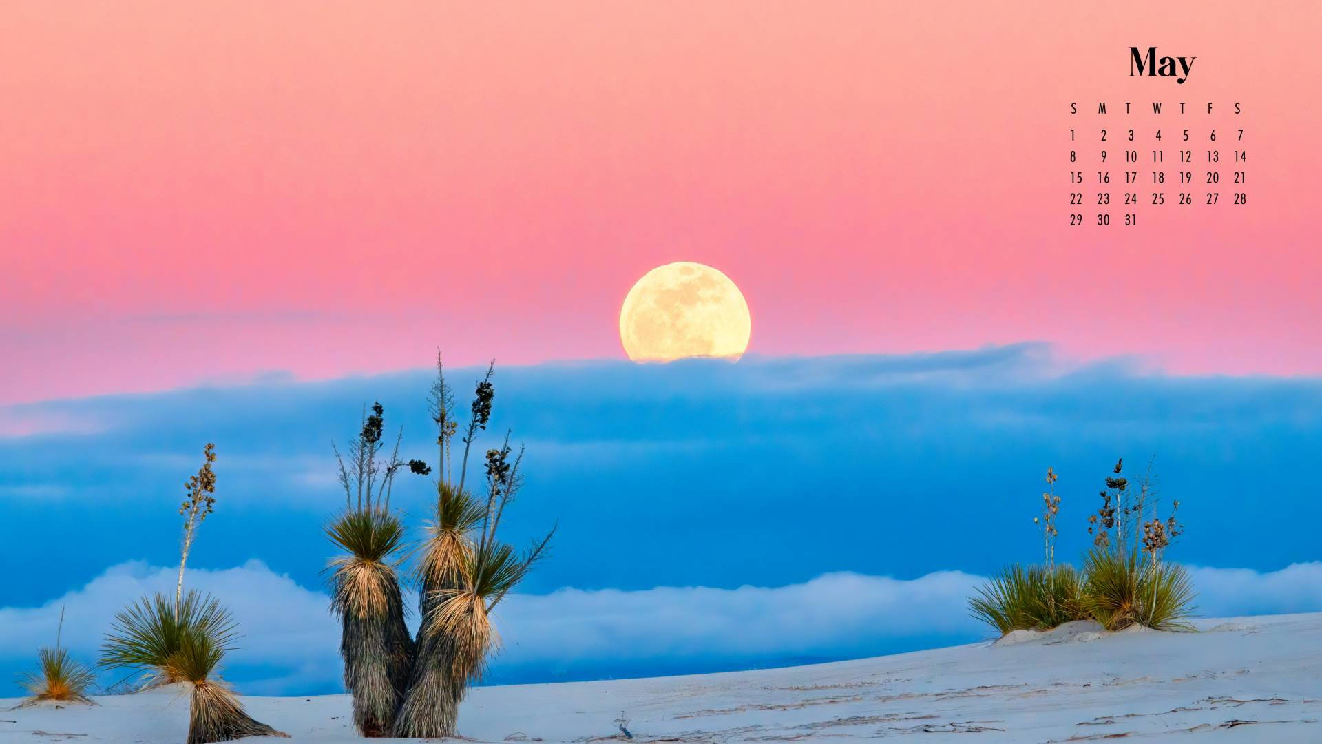 May 2022 Calendar, full moon, snowy dunes, Full HD Desktop Wallpaper