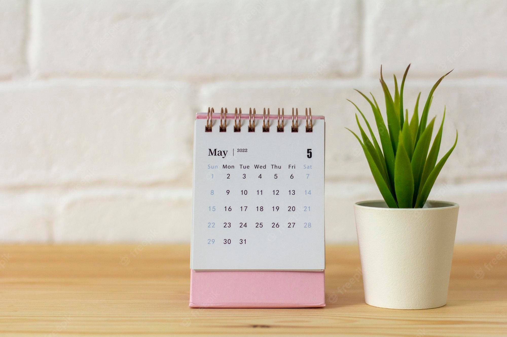 May 2022 Calendar, pink desk calendar, potted green plant, Full HD Desktop Wallpaper