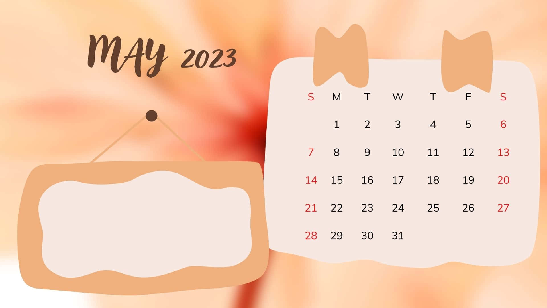 May 2023 Calendar, pastel, floral background, Full HD Desktop Wallpaper