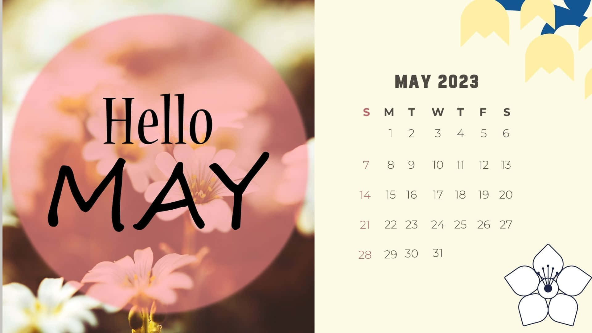 May 2023 Calendar, pink flowers, pastel background, Full HD Desktop Wallpaper