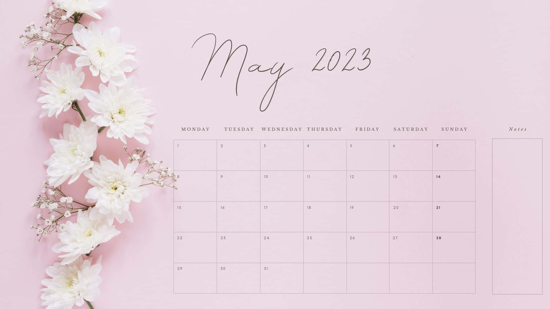 May 2023 Calendar, pink, white flowers, Full HD Desktop Wallpaper