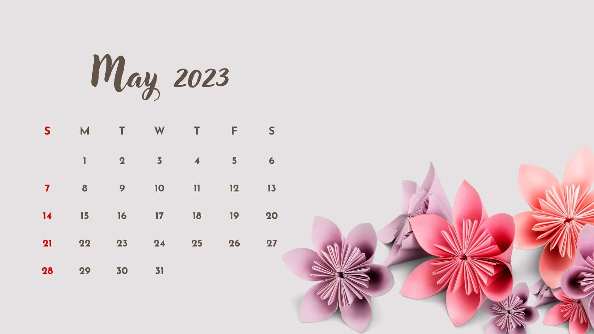 May 2023 Calendar, pink origami cherry blossoms, soft gray background, Full HD Desktop Wallpaper