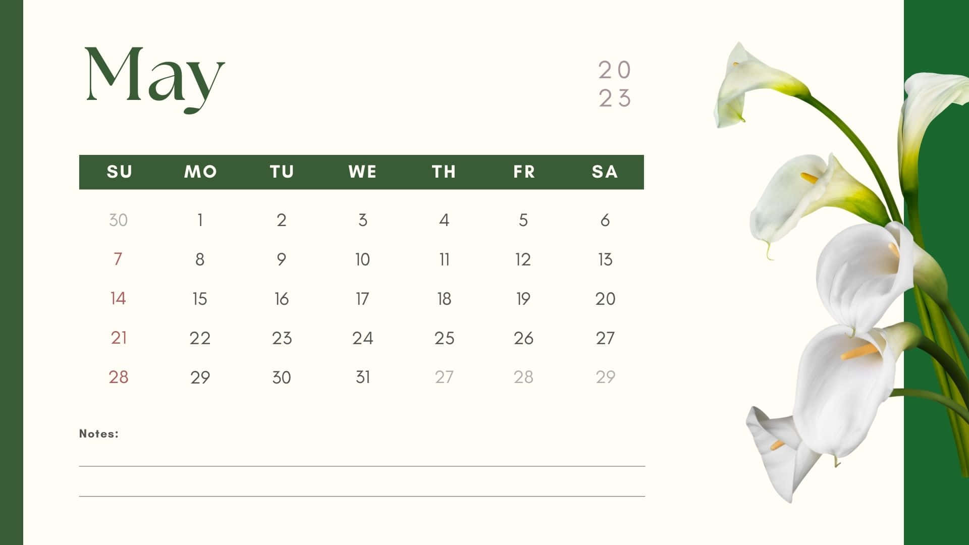 May 2023 Calendar, white calla lilies, green and cream background, Full HD Desktop Wallpaper