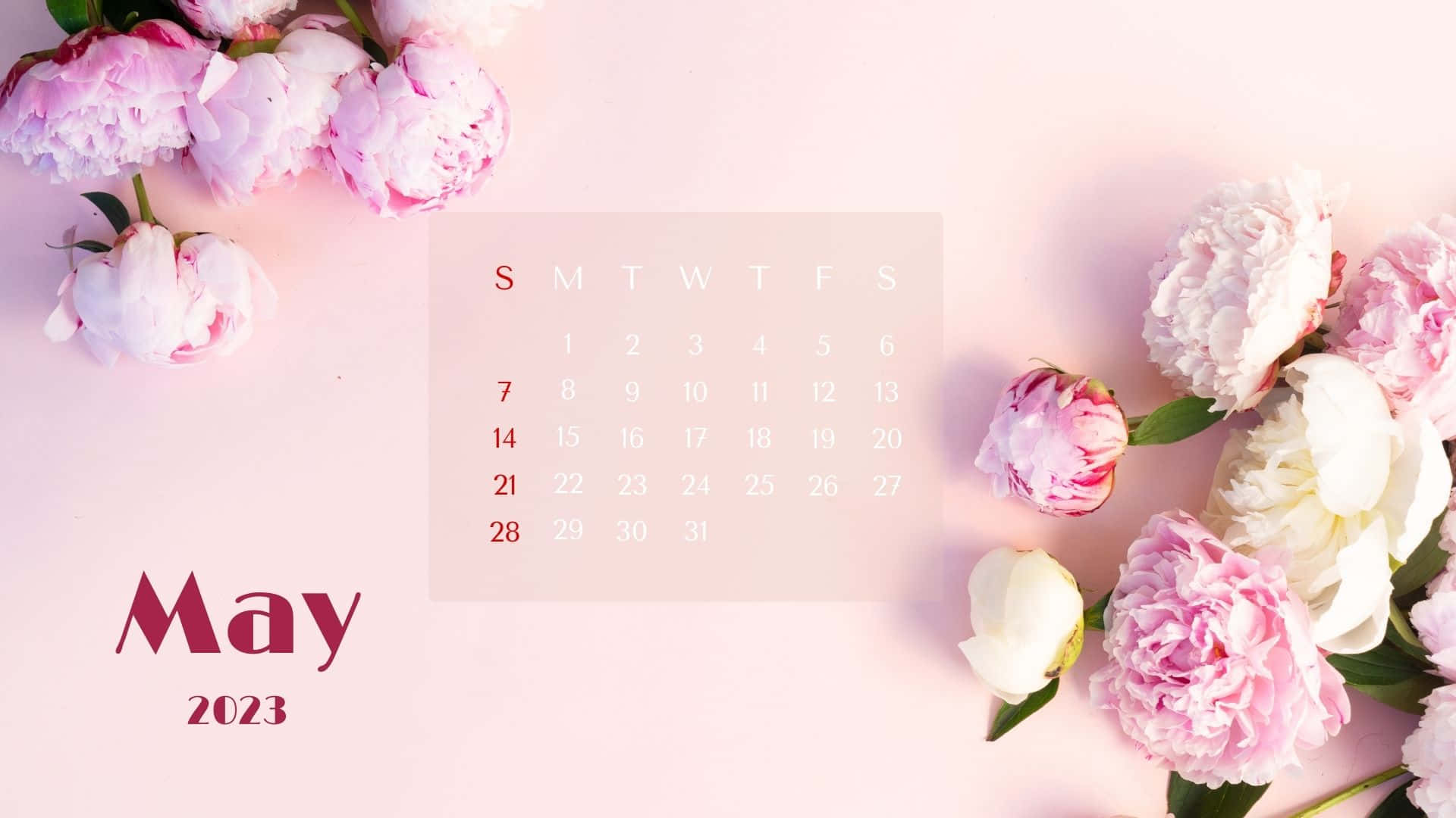 May 2023 Calendar, pastel pinks, whites, Full HD Desktop Wallpaper