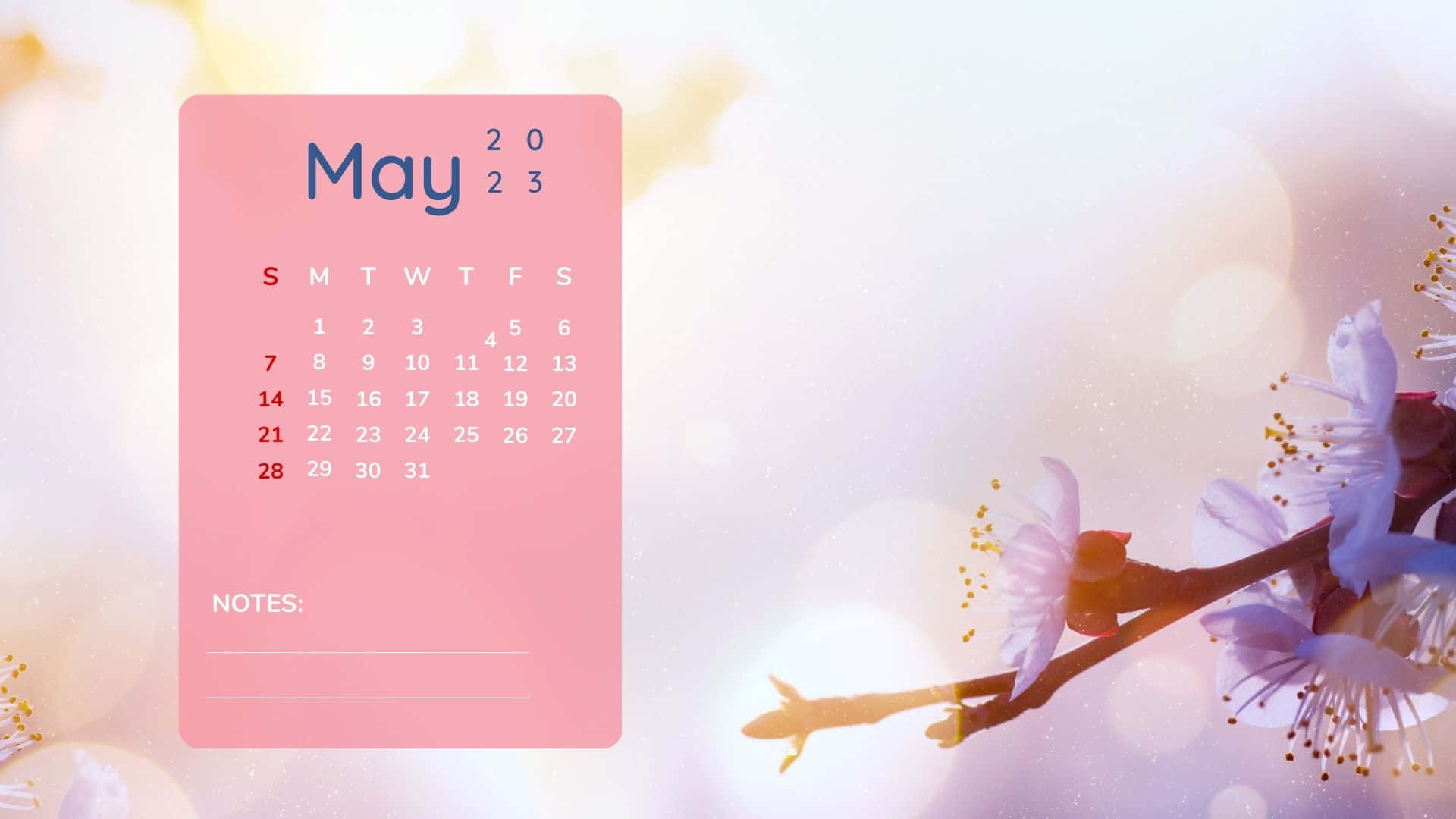 May 2023 Calendar, pink, flowers, Full HD Desktop Wallpaper