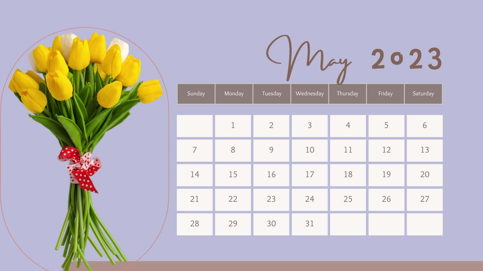 May 2023 Calendar, yellow tulips, white tulips, Full HD Desktop Wallpaper