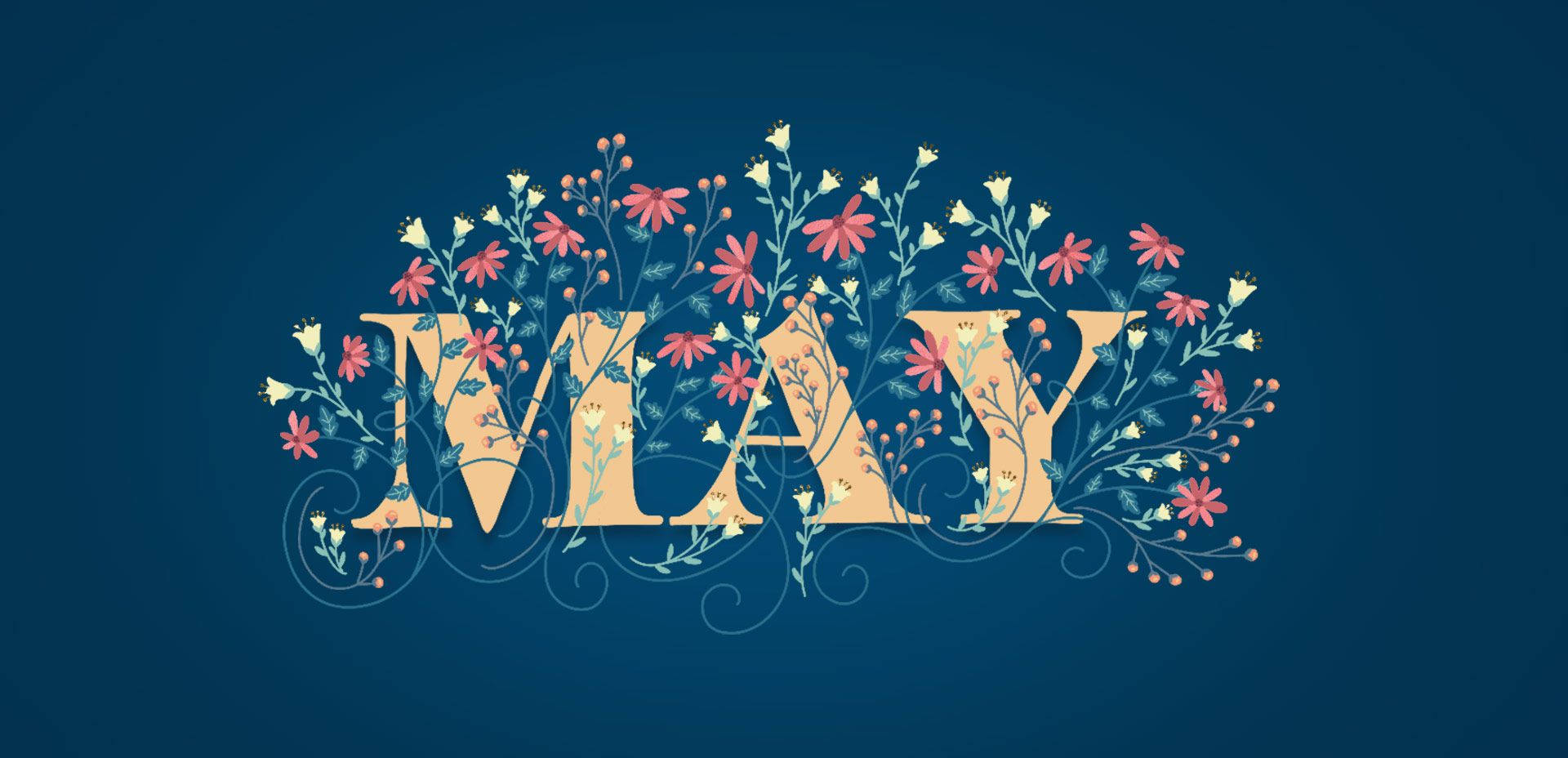 MAY, pink and white flowers, vines, Full HD Desktop Wallpaper