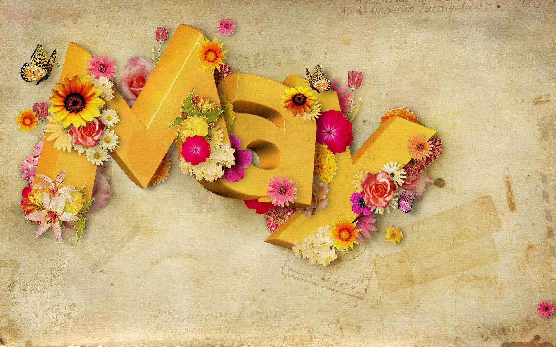 MAY, 3D letters, vibrant flowers, Full HD Desktop Wallpaper