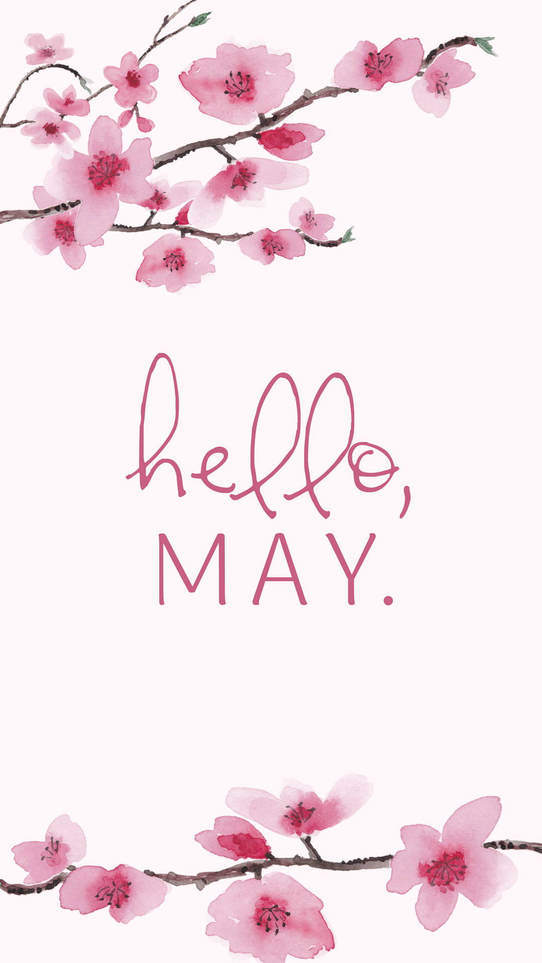 Cherry Blossoms, pink, soft pink background, Full HD Phone Wallpaper