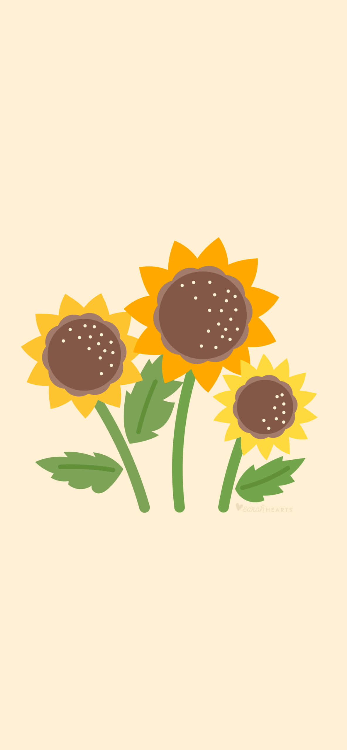 sunflower, bright yellow petals, brown centers, 2K Phone Wallpaper