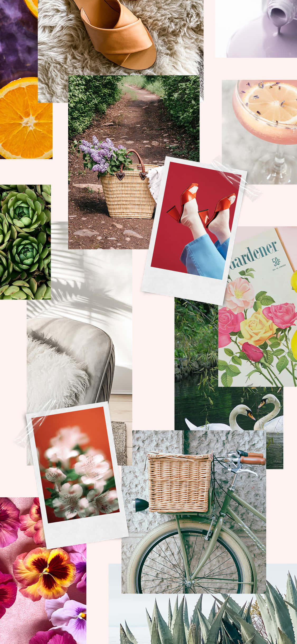 May Aesthetic, collage, flowers, Full HD Phone Wallpaper