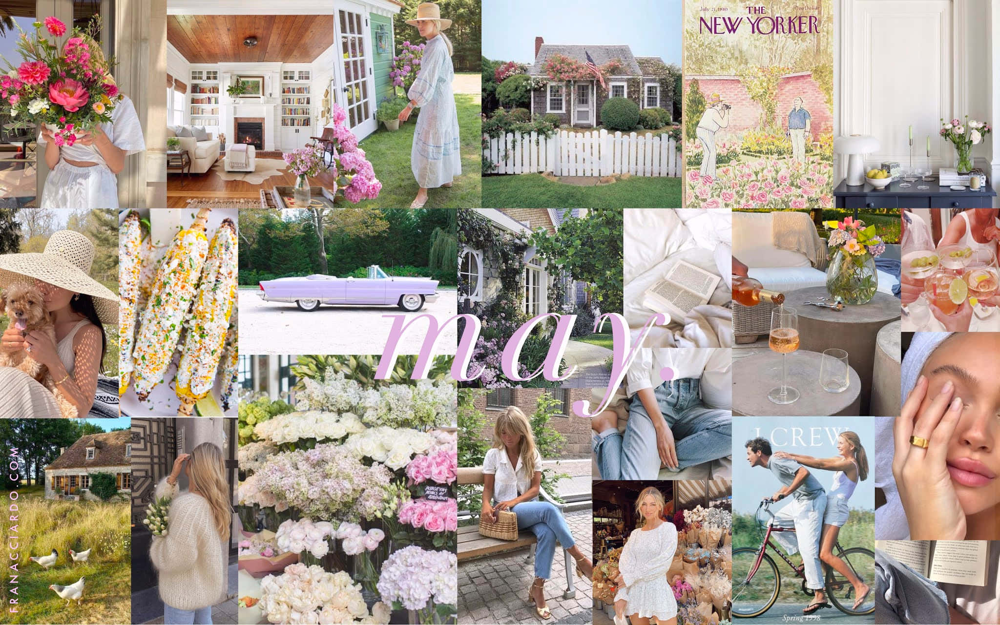 May Aesthetic, hydrangeas, pink flowers, Full HD Desktop Wallpaper