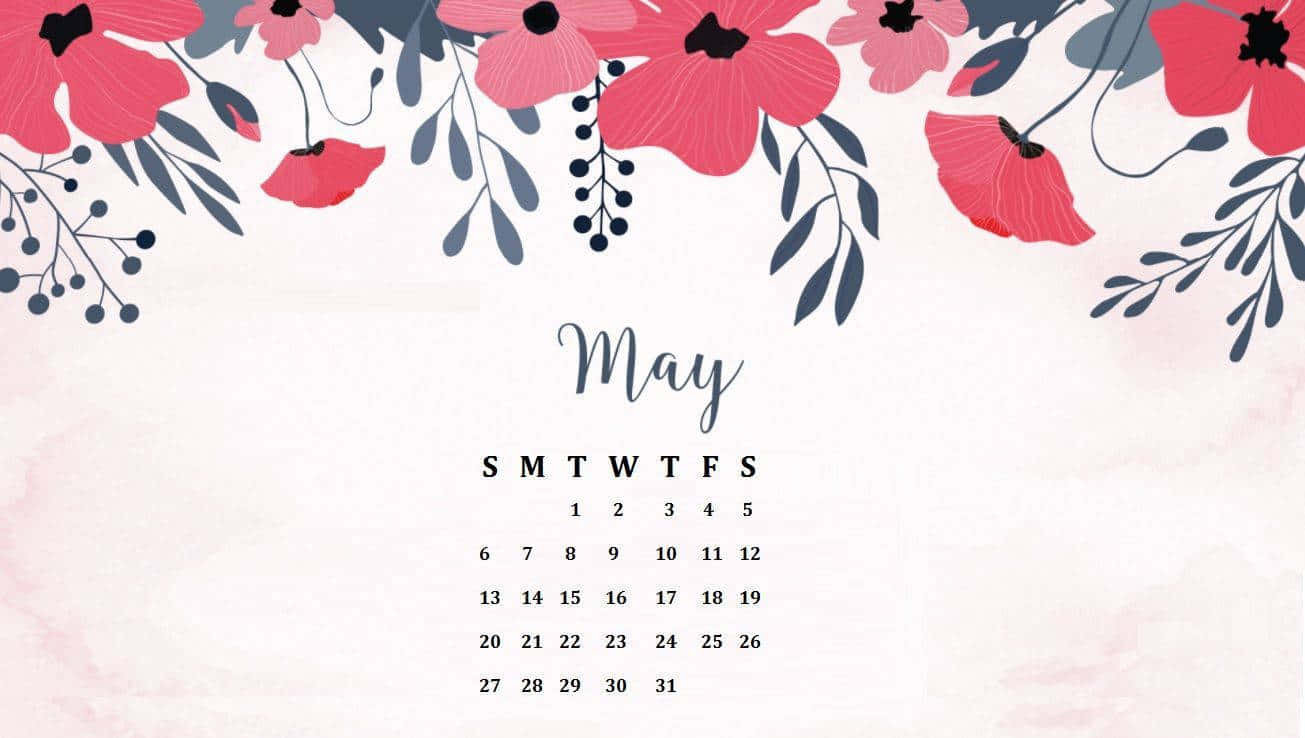 May, pink poppies, dark gray foliage, HD Desktop Wallpaper
