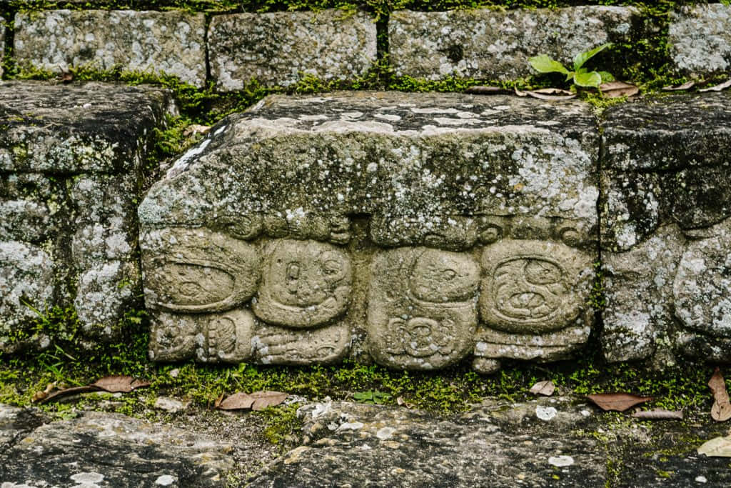 Mayan Ruins Of Copan, moss-covered stone carvings, intricate glyphs, SD Desktop Wallpaper