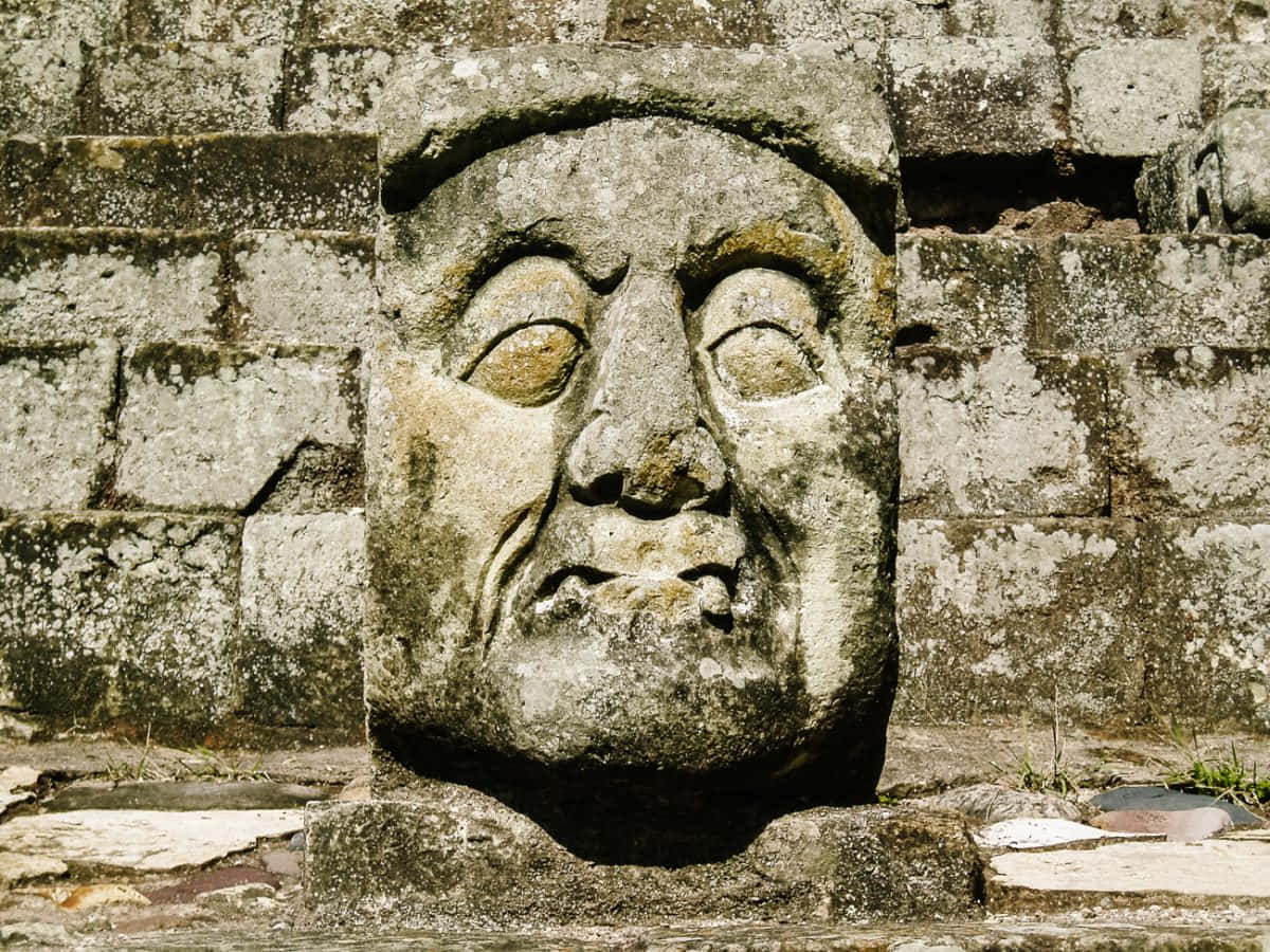 Mayan Ruins Of Copan, stone face sculpture, mossy brick wall, SD Desktop Wallpaper