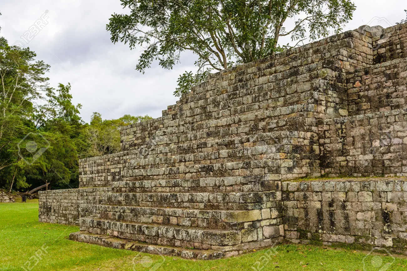 Mayan Ruins of Copan, stone pyramid, jungle, HD Desktop Wallpaper