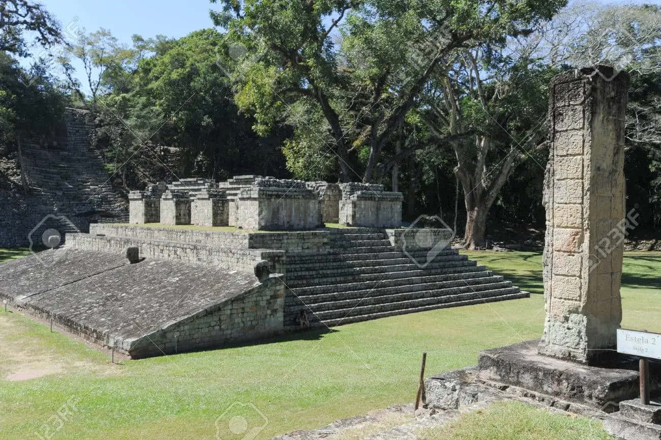 Mayan Ruins of Copan, stepped pyramids, tall stela, HD Desktop Wallpaper