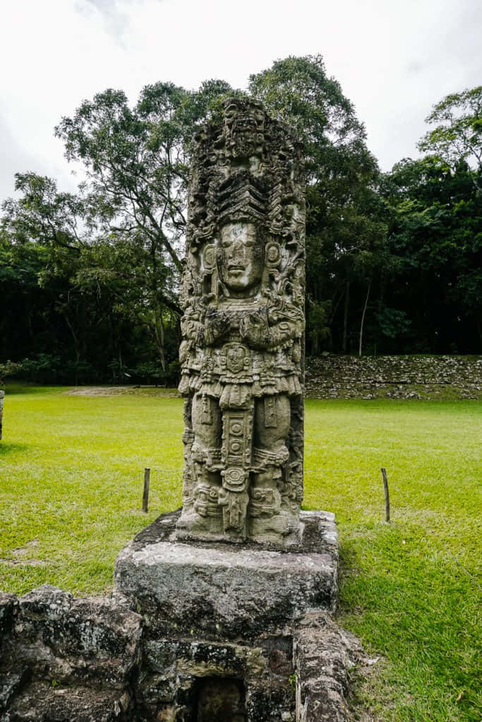Mayan Ruins Of Copan, ancient intricately carved stone statue, lush green grassy field, SD Phone Wallpaper