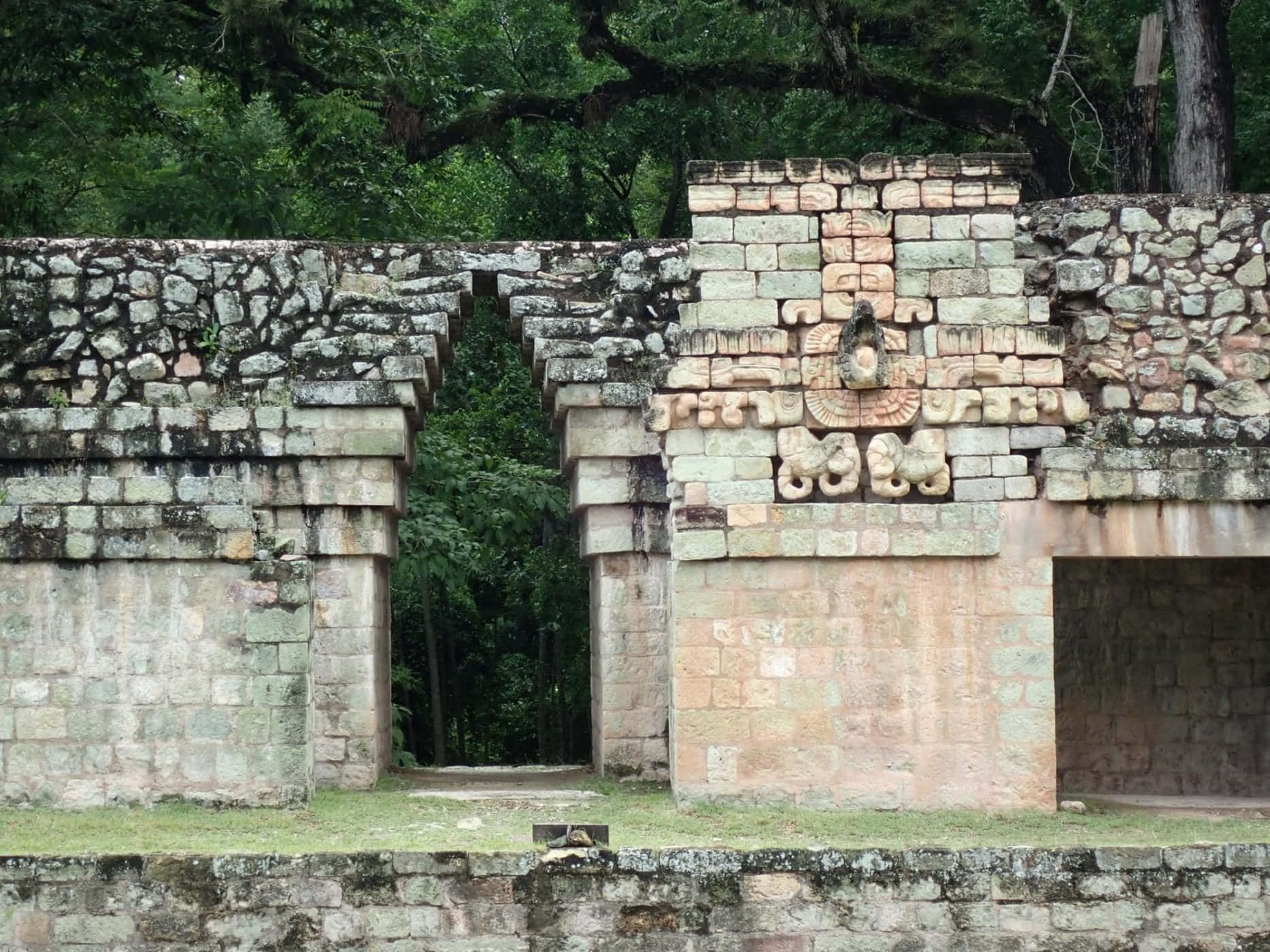 Mayan Ruins of Copan, ancient stone ruins, carved glyphs, HD Desktop Wallpaper