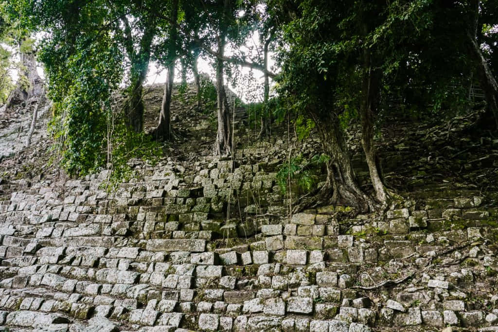 Mayan Ruins Of Copan, ancient stone ruins, lush green jungle, SD Desktop Wallpaper