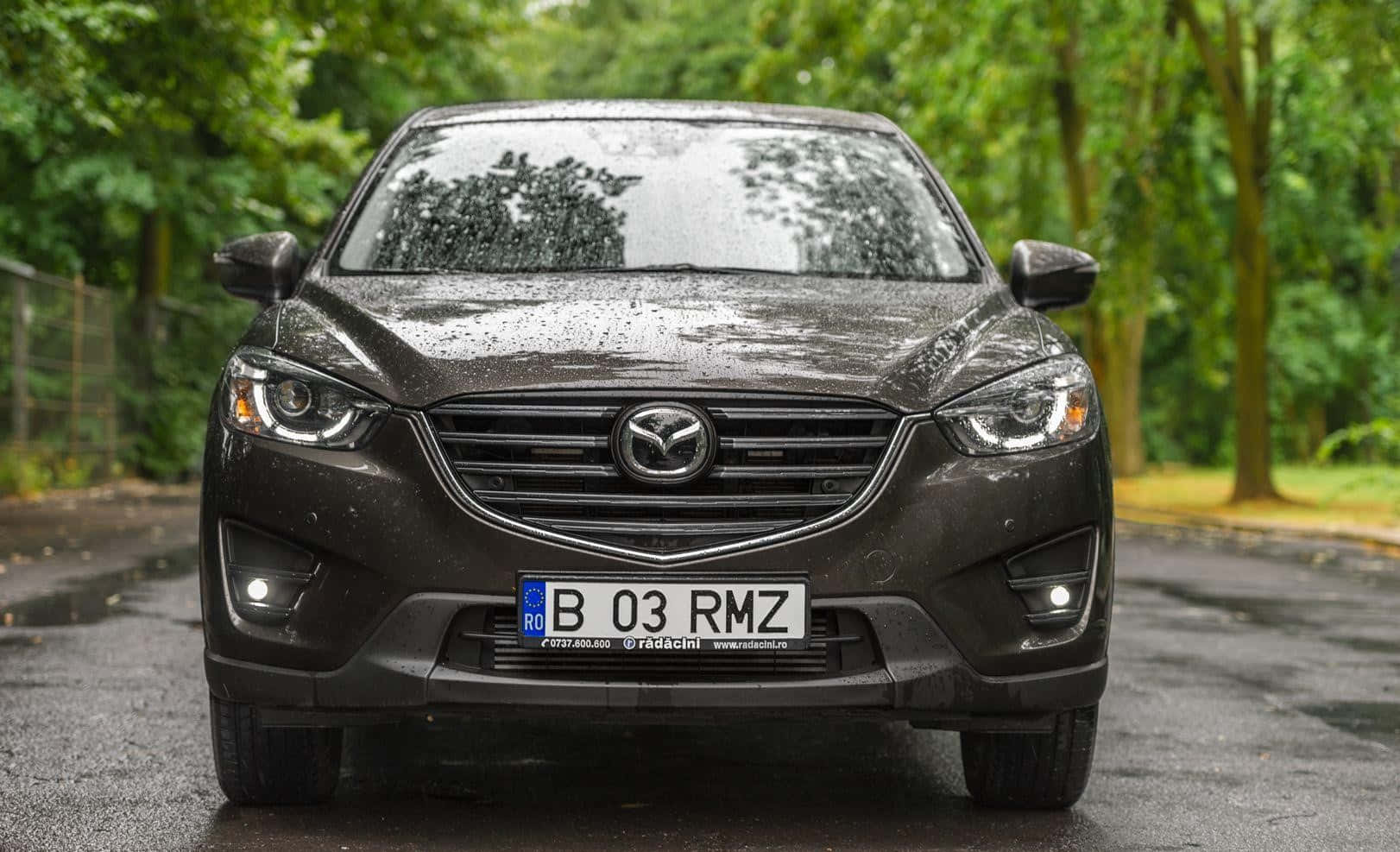 Mazda CX-30, dark gray, wet road, HD Desktop Wallpaper