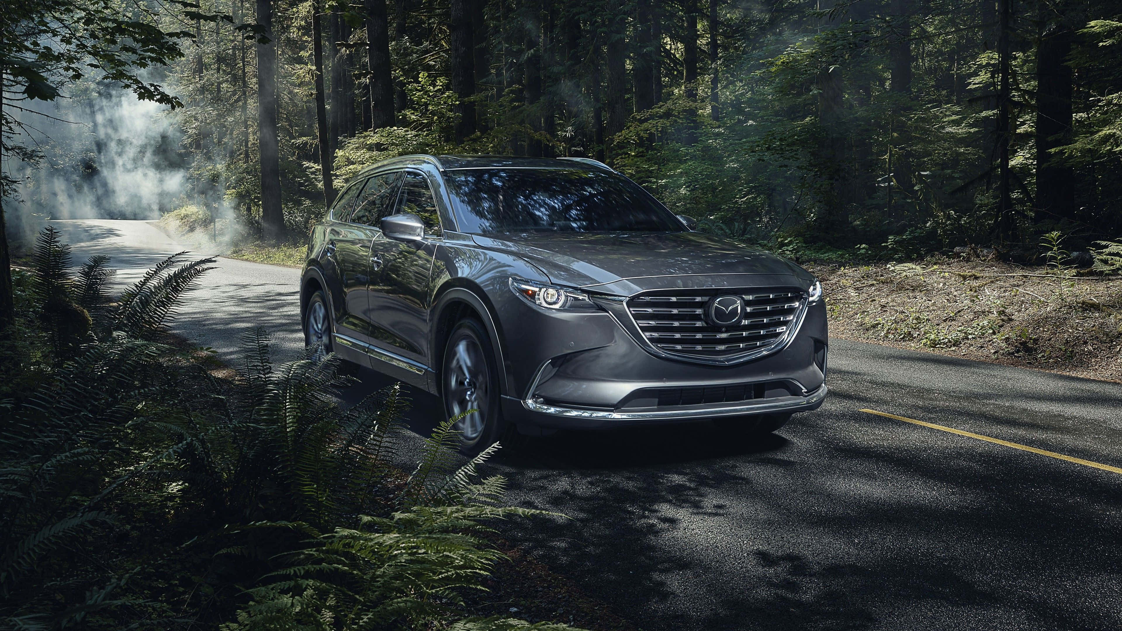 Mazda CX-9, gray, misty forest road, 4K Desktop Wallpaper