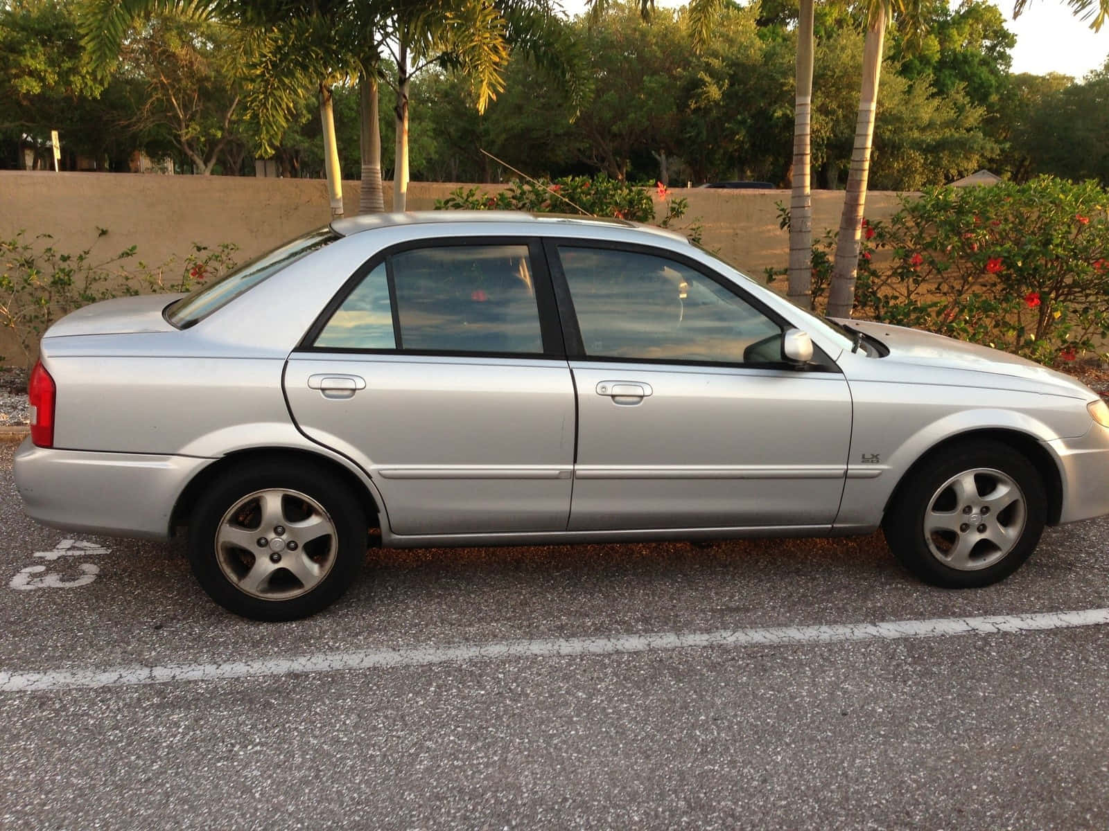 Mazda Protege, silver, palm trees, HD Desktop Wallpaper