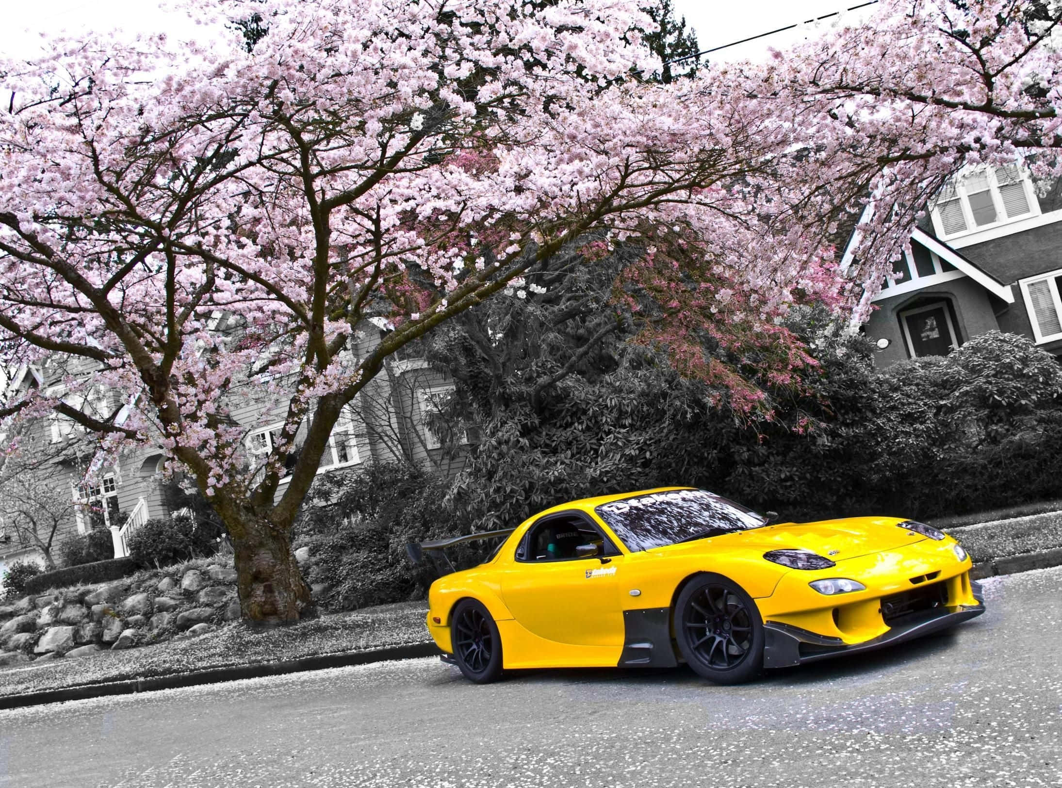 Mazda Rx 7, yellow, sakura tree, Full HD Desktop Wallpaper