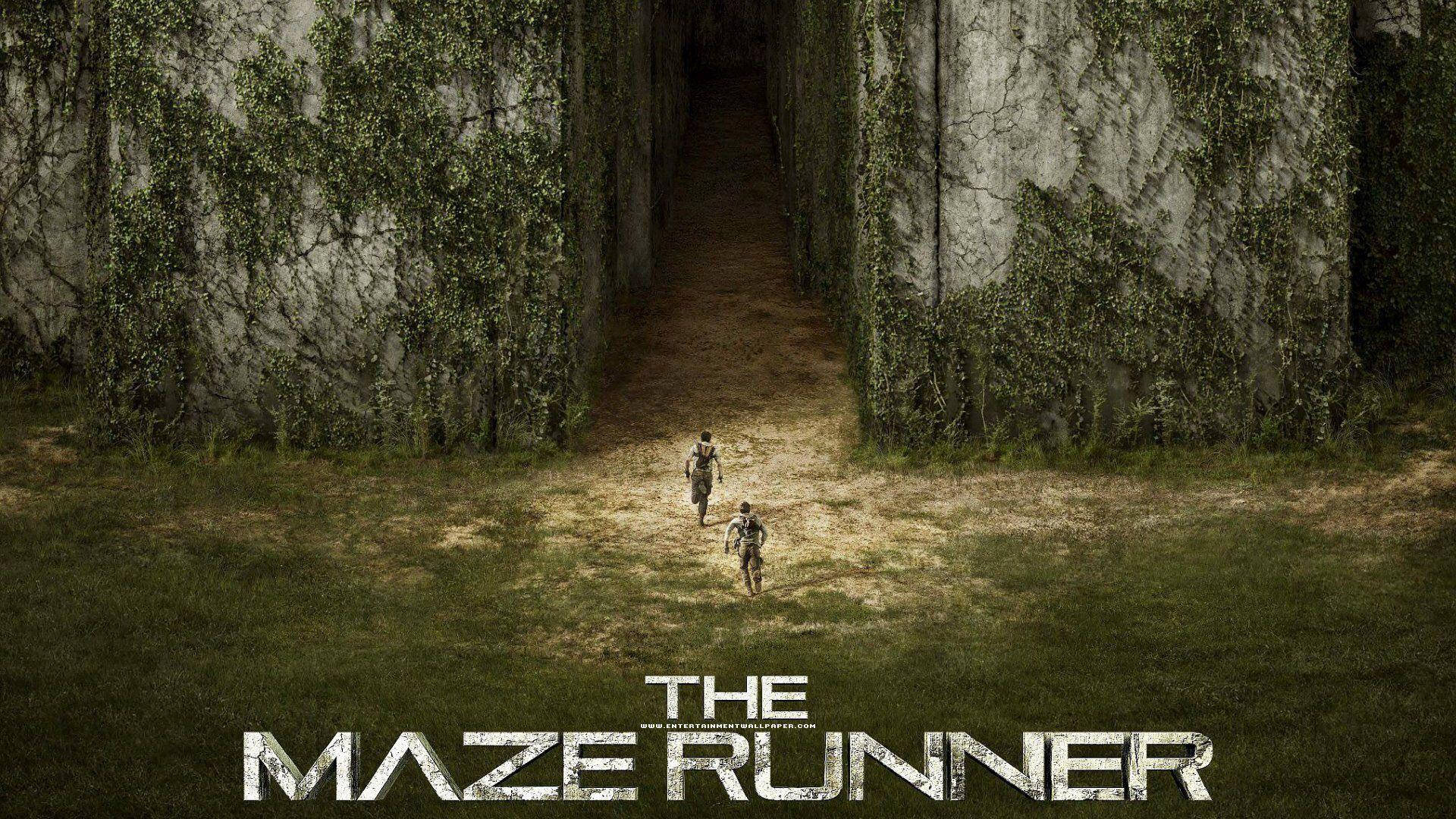 The Maze Runner, stone corridor, dim sky, Full HD Desktop Wallpaper