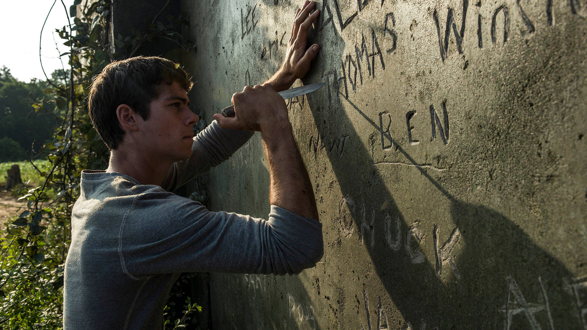 Maze Runner, names, weathered concrete wall, Full HD Desktop Wallpaper