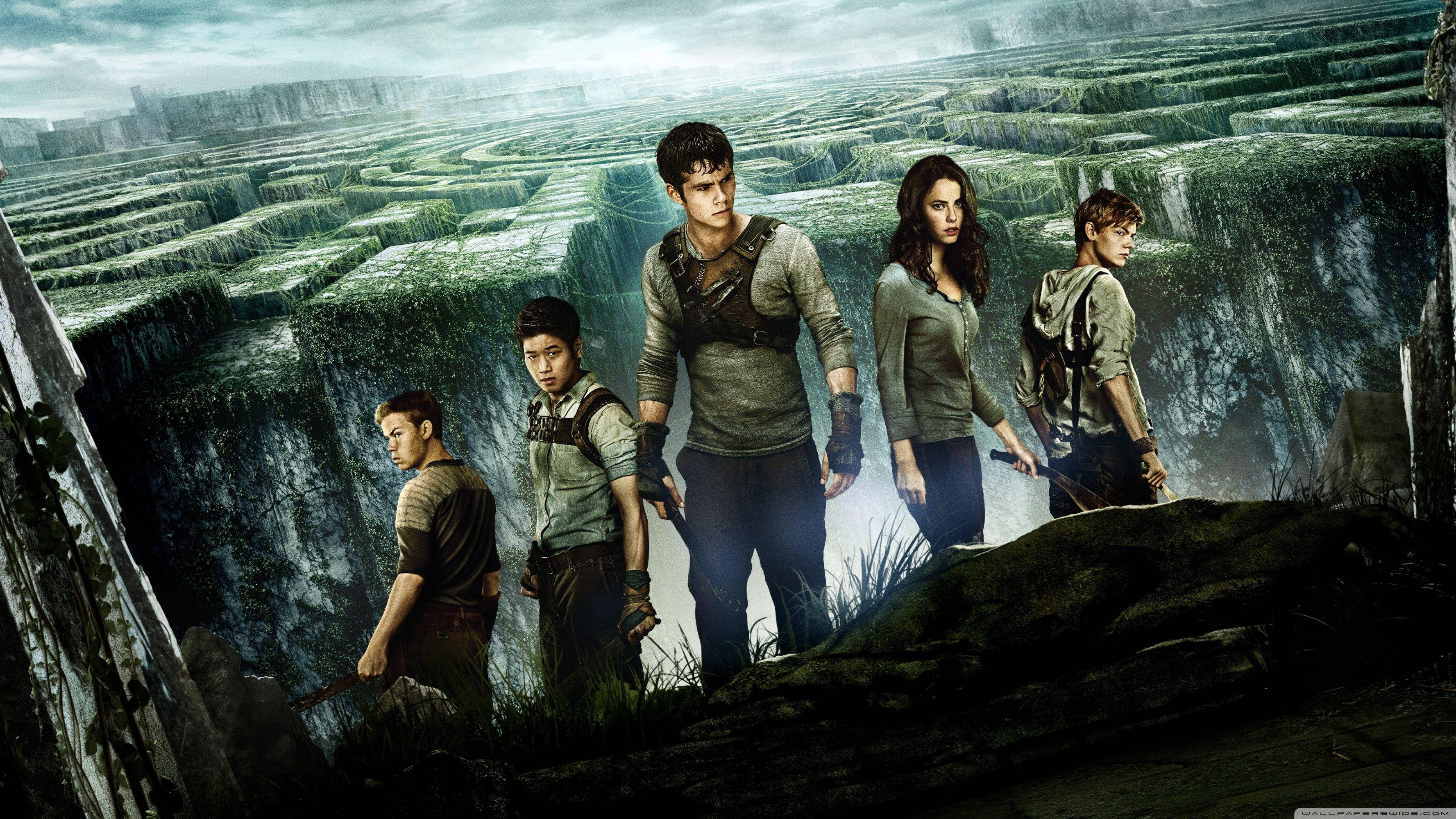 The Maze Runner, teenagers, vast overgrown stone maze, 2K Desktop Wallpaper