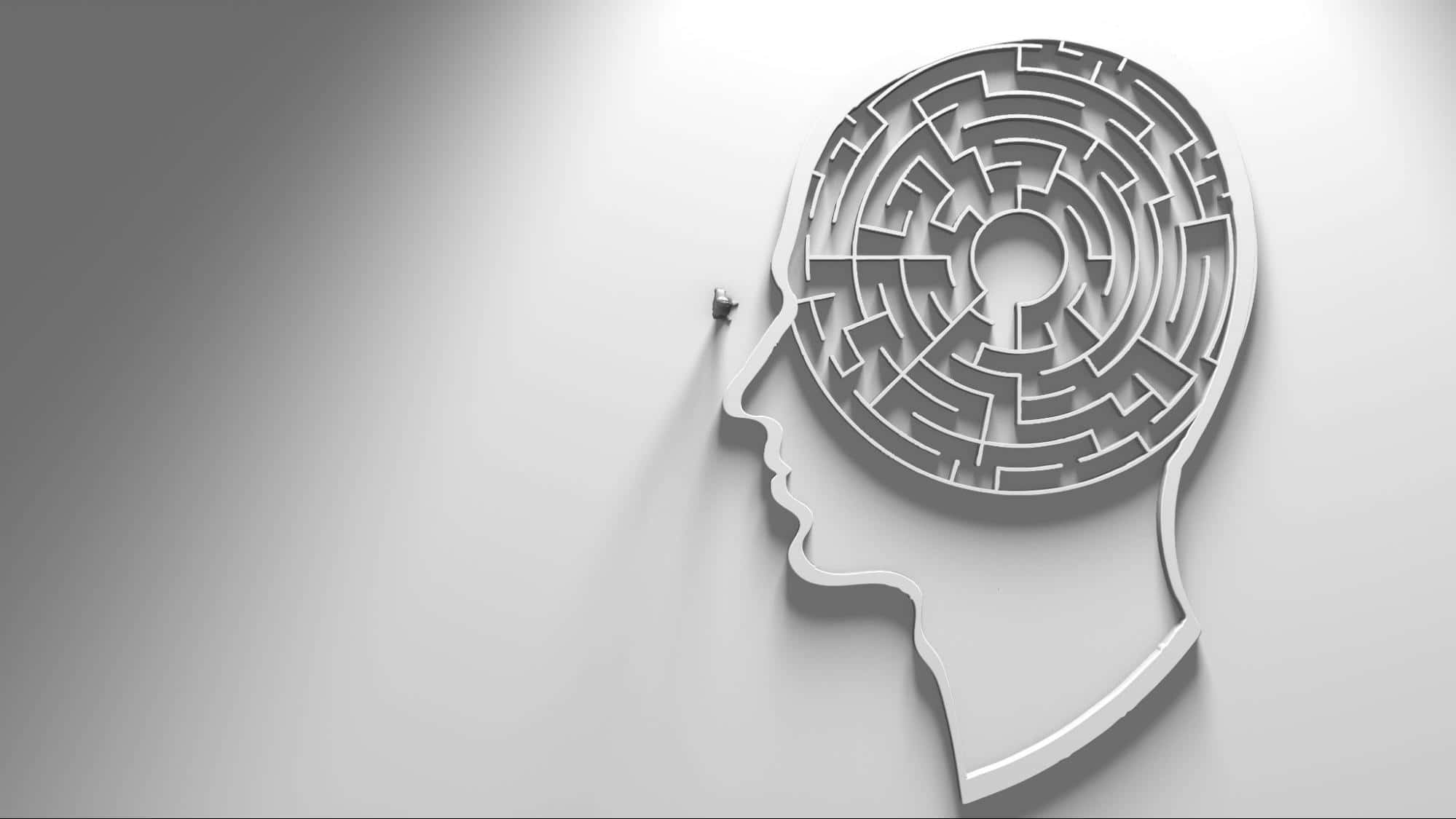 intellectual brain maze, 3d-rendered silhouette, human head, Full HD Desktop Wallpaper