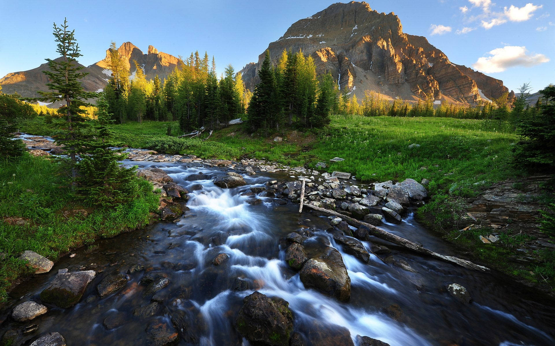 Stony River Professional Desktop, mountain stream, lush green valley, Full HD Desktop Wallpaper
