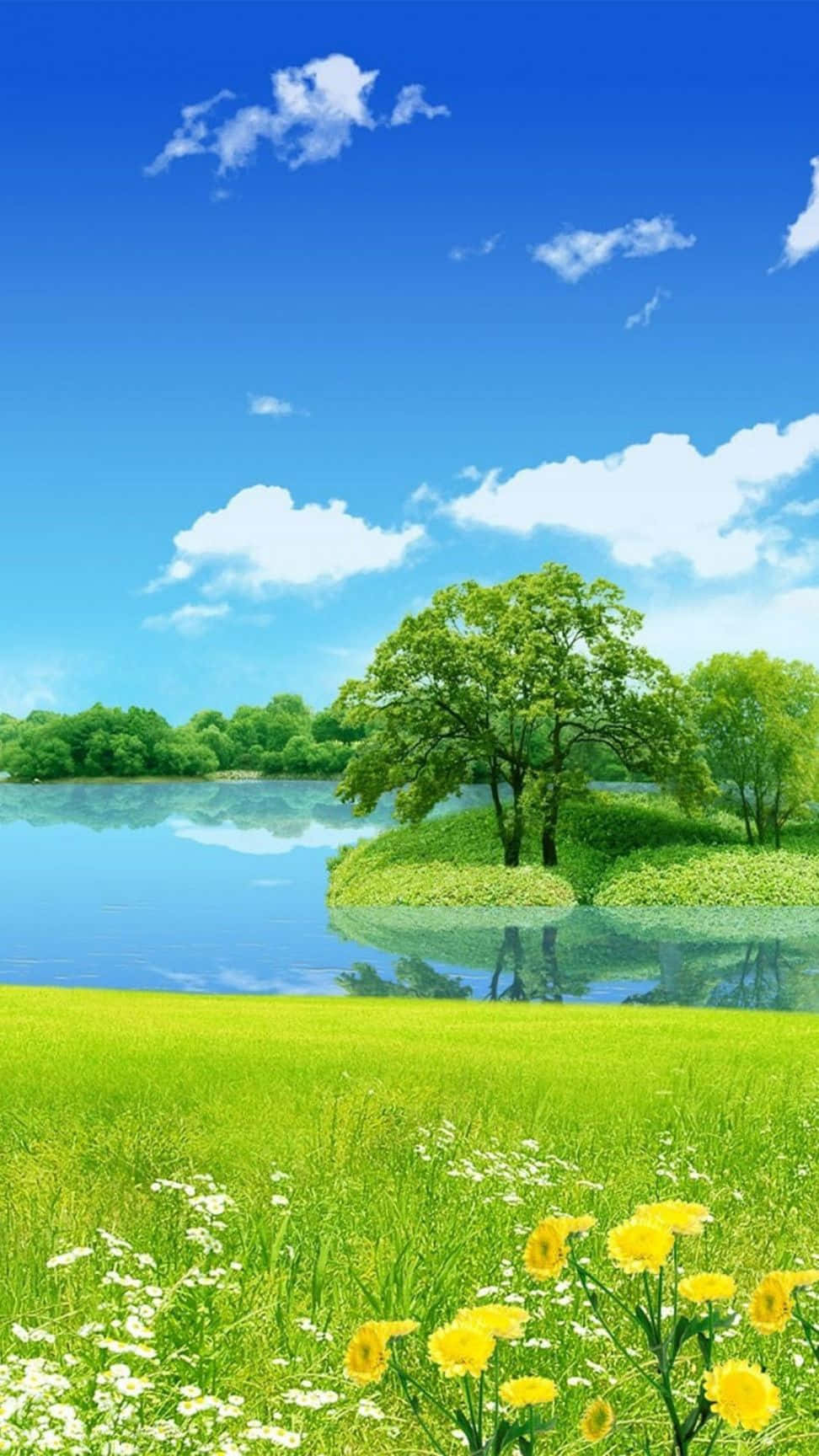 nature android hd, summer meadow, yellow daisies, HD Phone Wallpaper