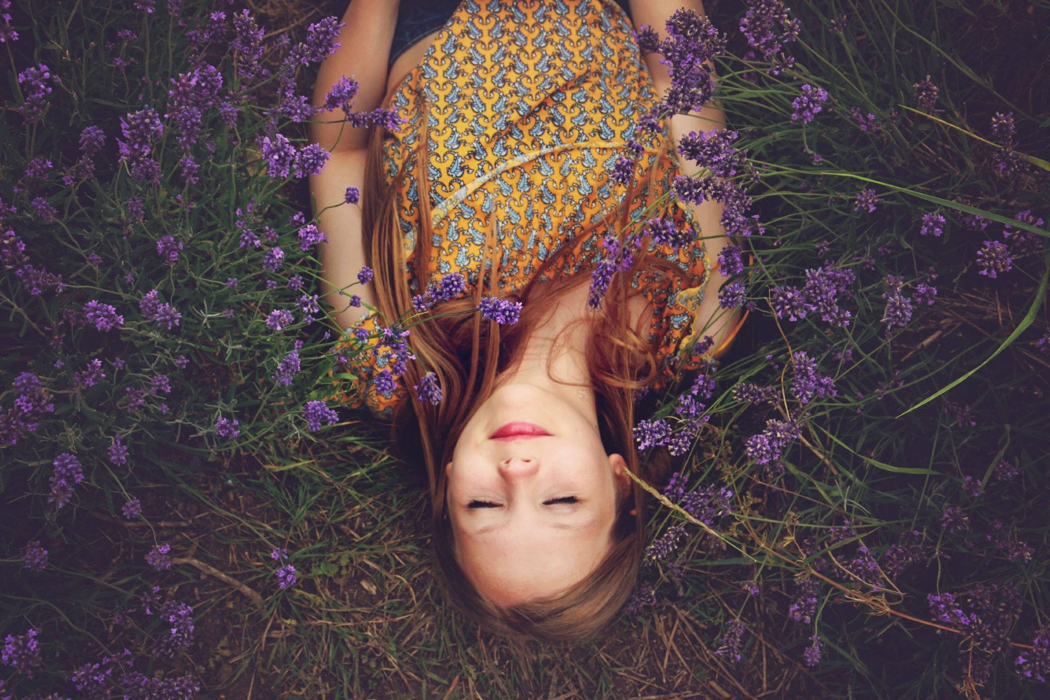 Independent Woman With Nature, vibrant purple lavender flowers, sunlit field, Full HD Desktop Wallpaper