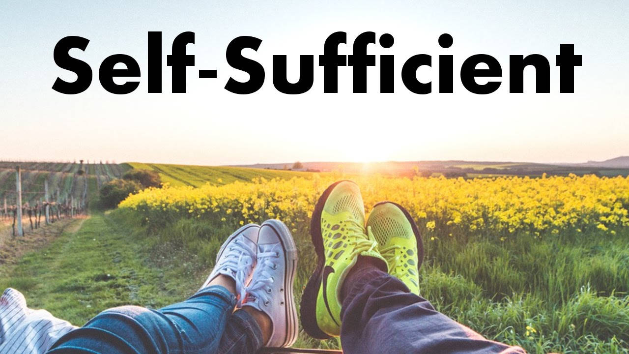 sunlit field of yellow flowers, sunset, two people, HD Desktop Wallpaper