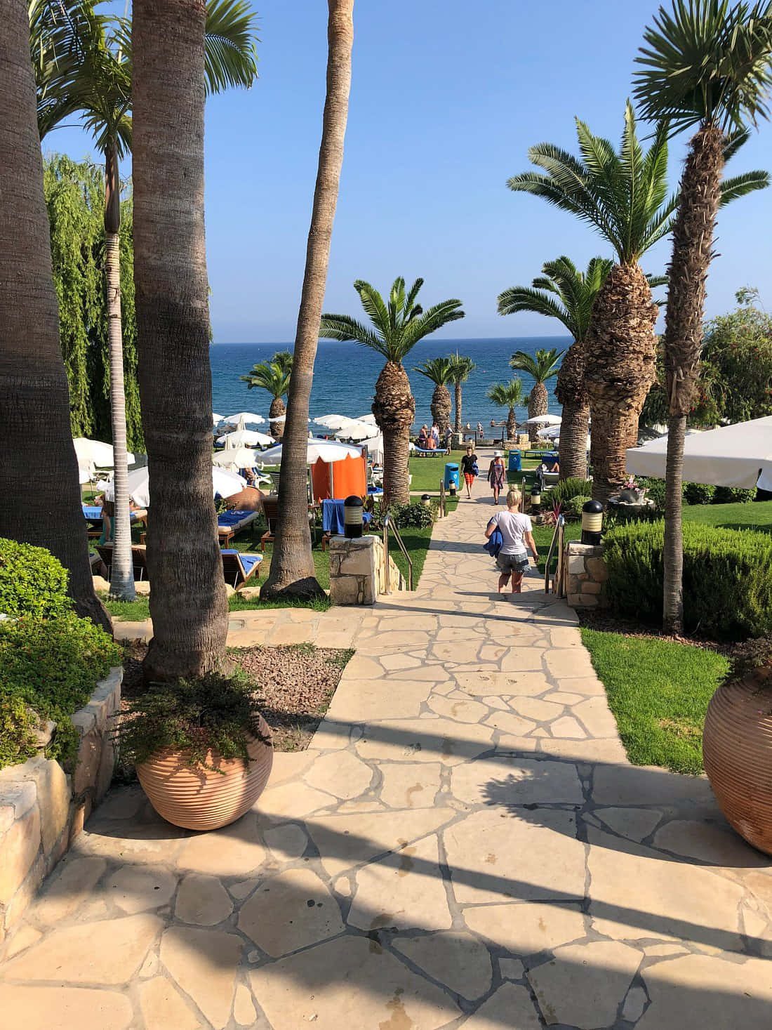 Mediterranean Beach, stone path, palm trees, HD Phone Wallpaper