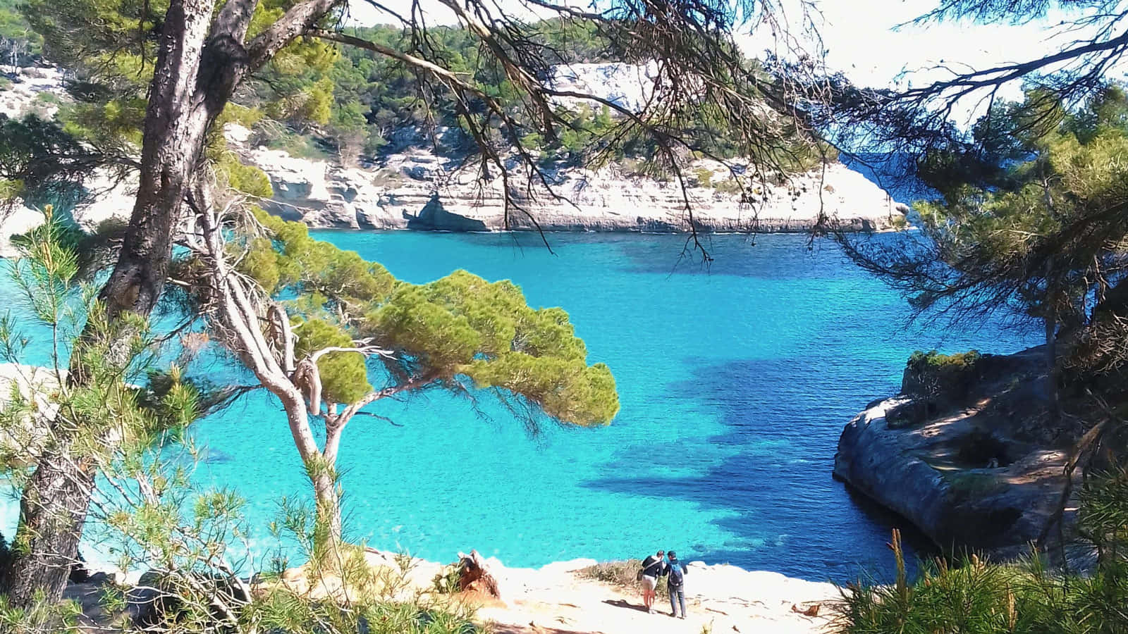 Mediterranean Beach, sunlit cove, pine trees, HD Desktop Wallpaper