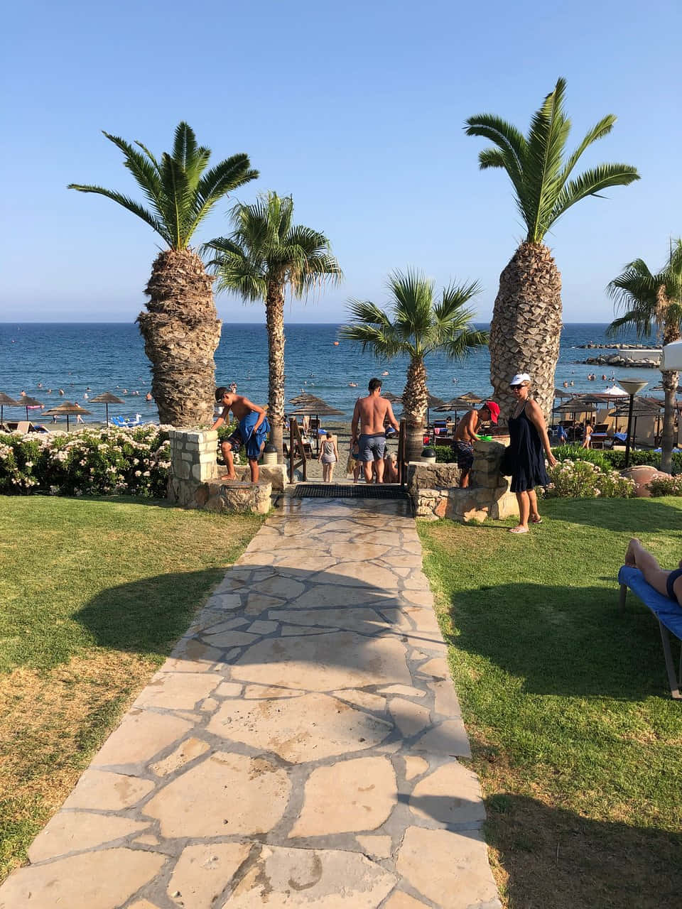 Mediterranean Beach, stone path, palm trees, HD Phone Wallpaper