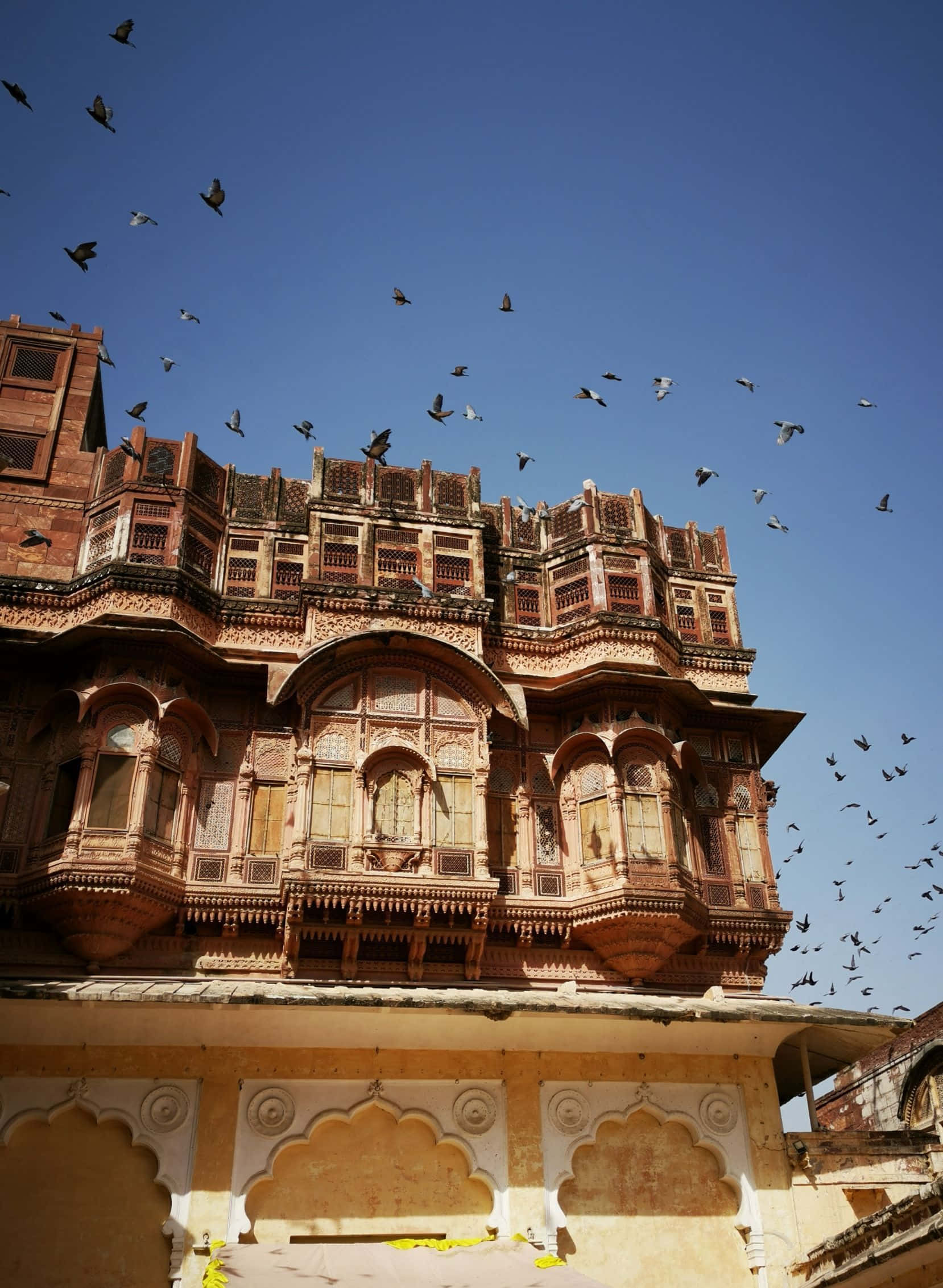 Mehrangarh Fort, pink sandstone palace, intricate balconies, Full HD Phone Wallpaper