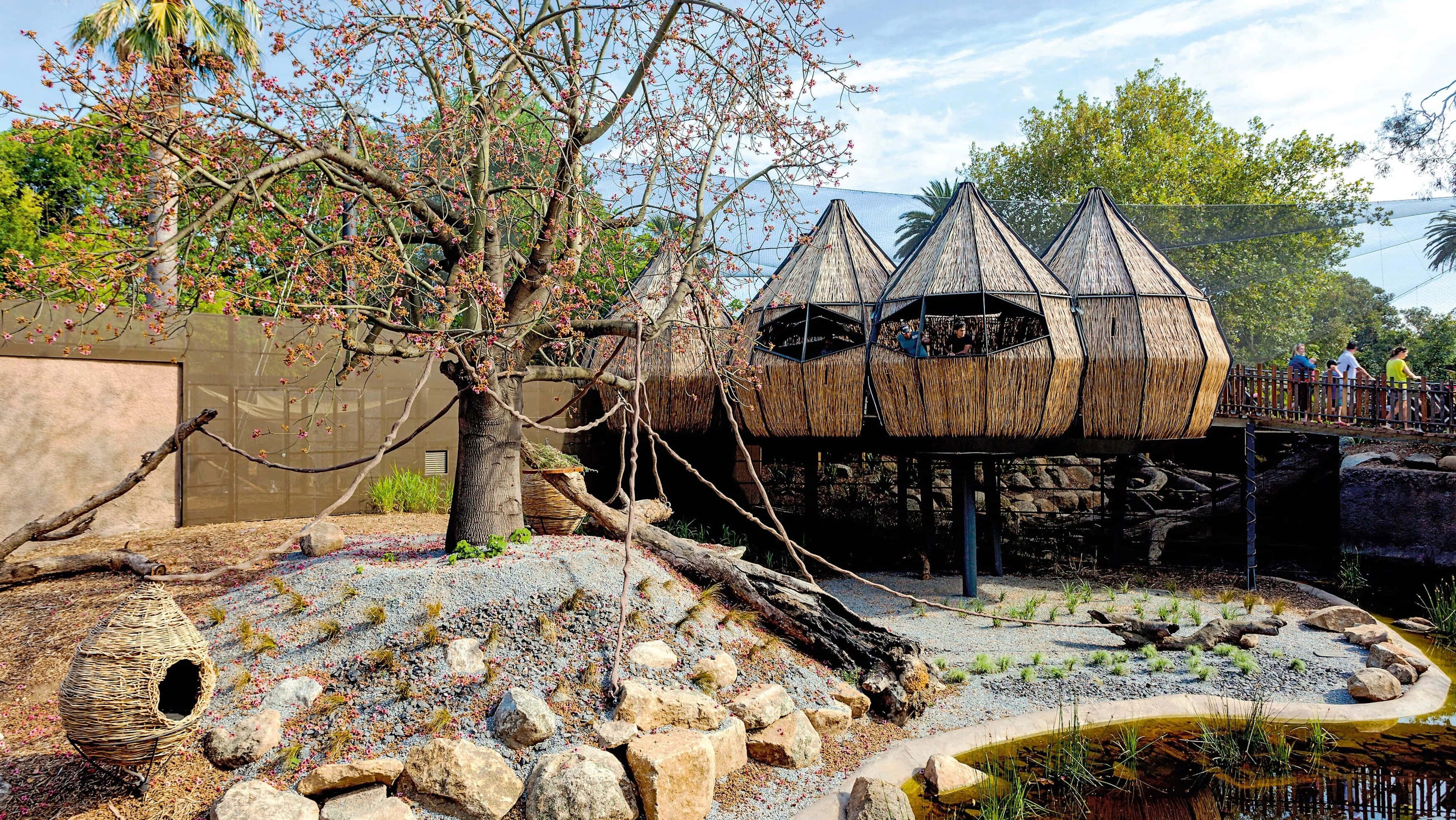 Melbourne Zoo, outdoor exhibit area, thatched-roof treehouse, 2K Desktop Wallpaper