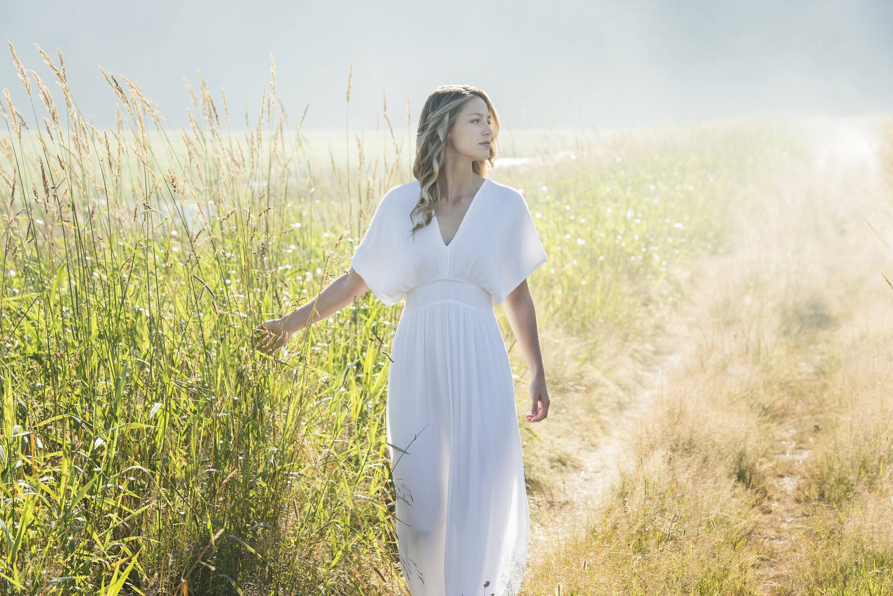Melissa Benoist, white dress, tall sunlit grass, 2K Desktop Wallpaper