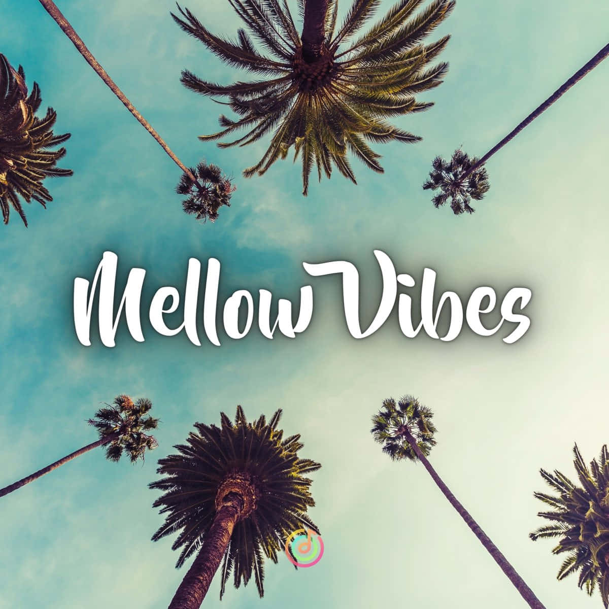 Mellow Vibes, palm trees, soft teal sky, SD Desktop Wallpaper